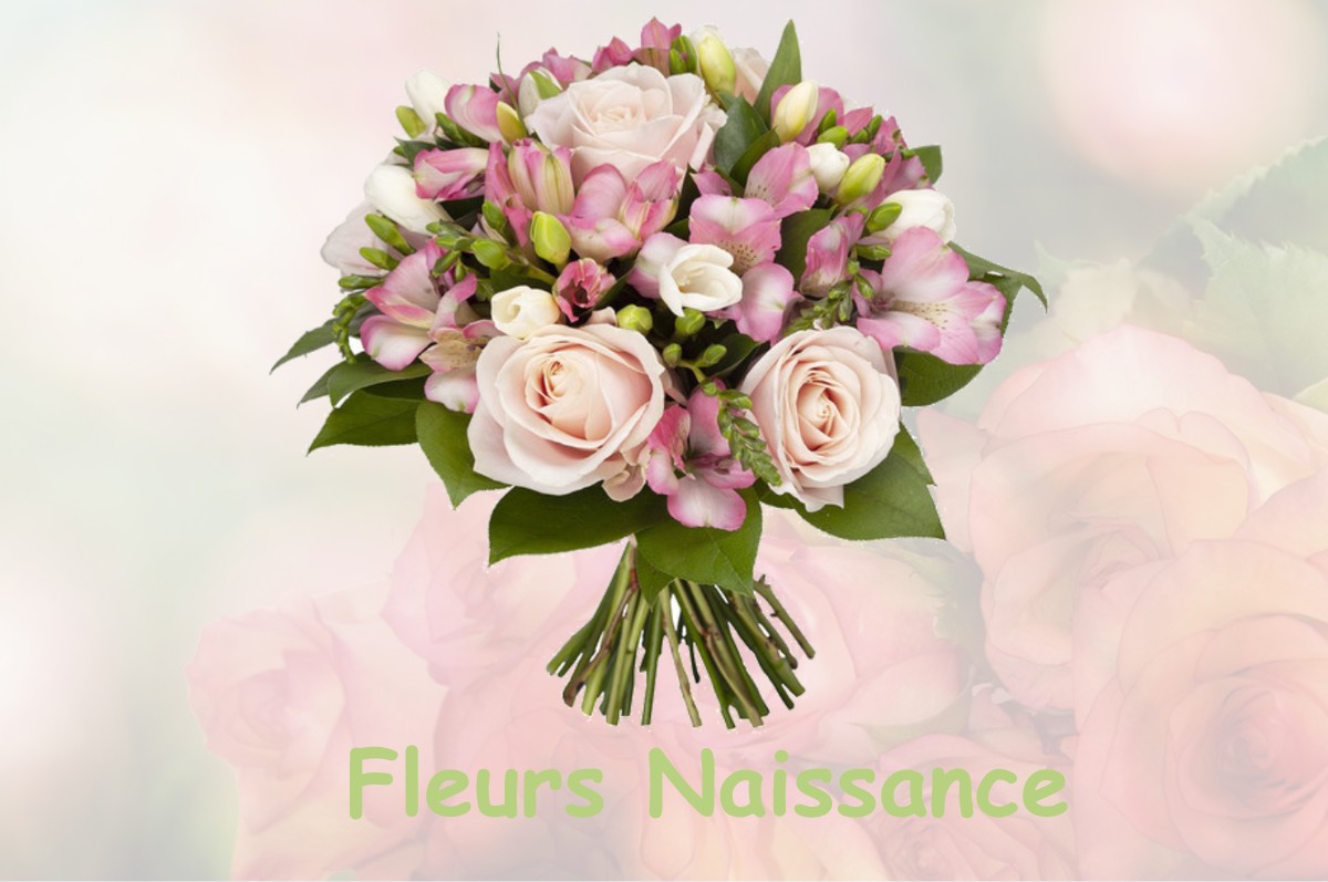 fleurs naissance AYGUESVIVES